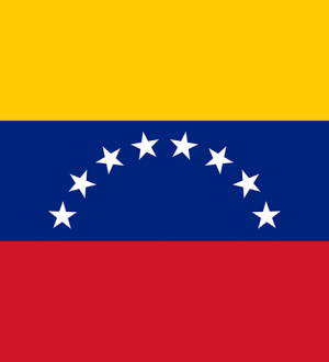 Флаг Венесуэлы: Значение и Смысл 🇻🇪