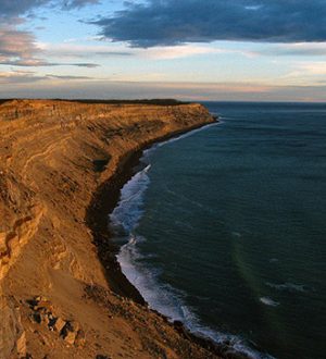 Полуостров Вальдес: «Рай для Морских Животных» 🇦🇷