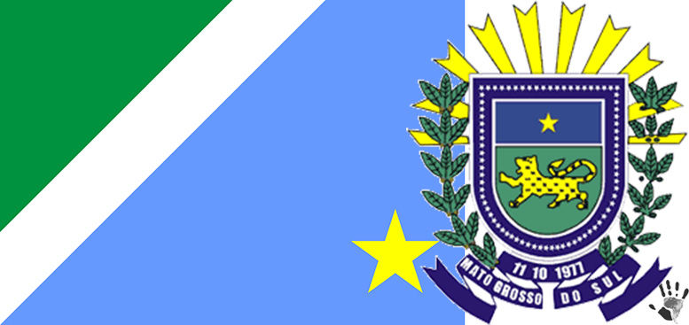 Флаг и герб штата Мату-Гросу-ду-Сул